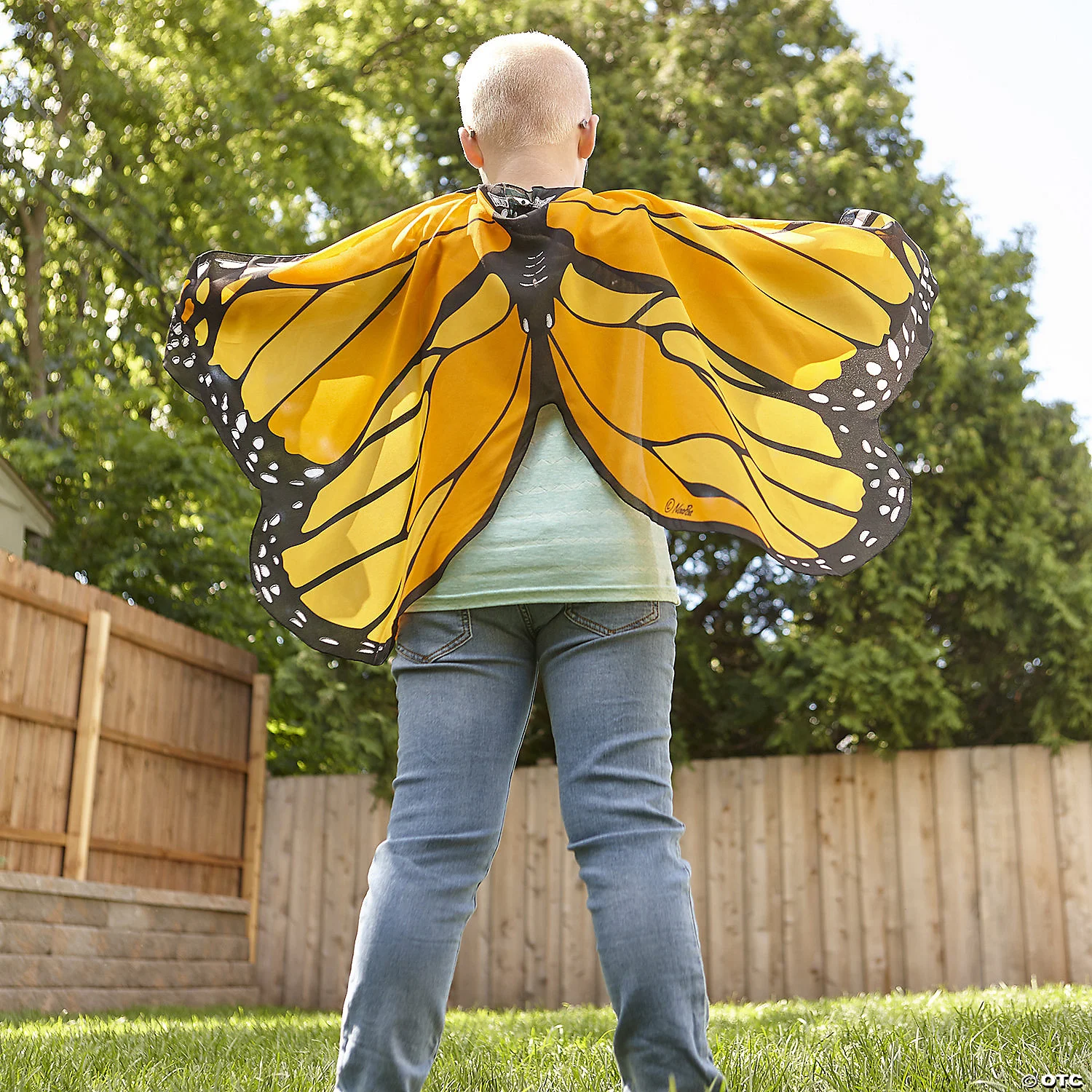 MW Butterfly Wings: Orange 1 MW Butterfly Wings: Orange